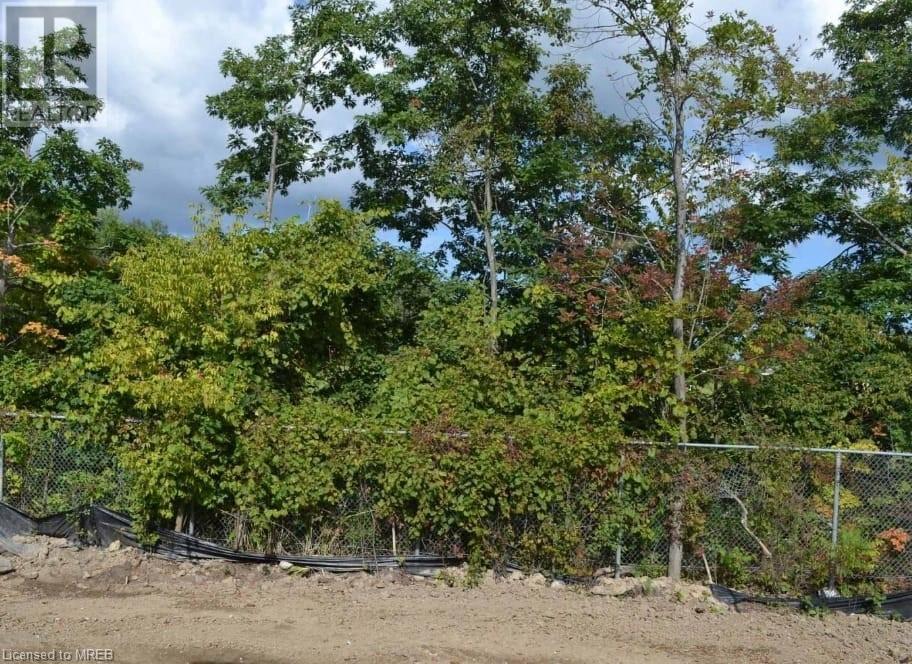 24 Revol Road Road, Penetanguishene, Ontario  L9M 1N8 - Photo 28 - 40585780