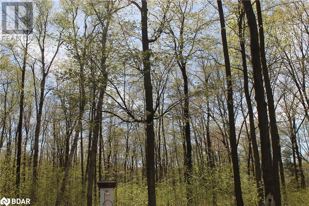 104 Silver Birch Drive Drive, Tiny, Ontario  L9M 2H7 - Photo 25 - 40580167