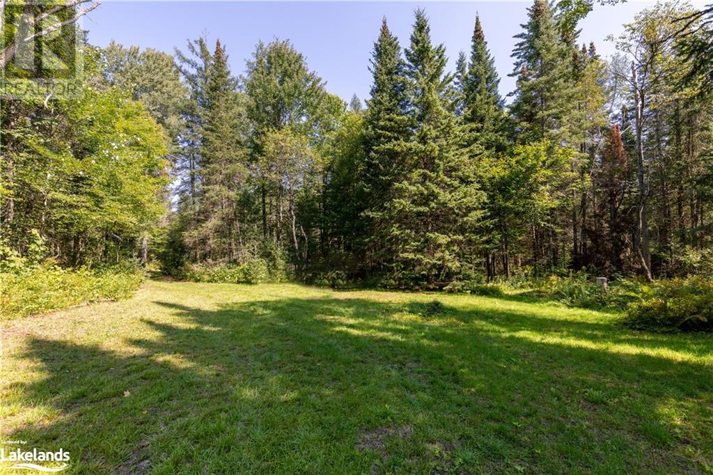 Lot 15 Concession 11, Huntsville, Ontario  P0B 1M0 - Photo 19 - 40583745