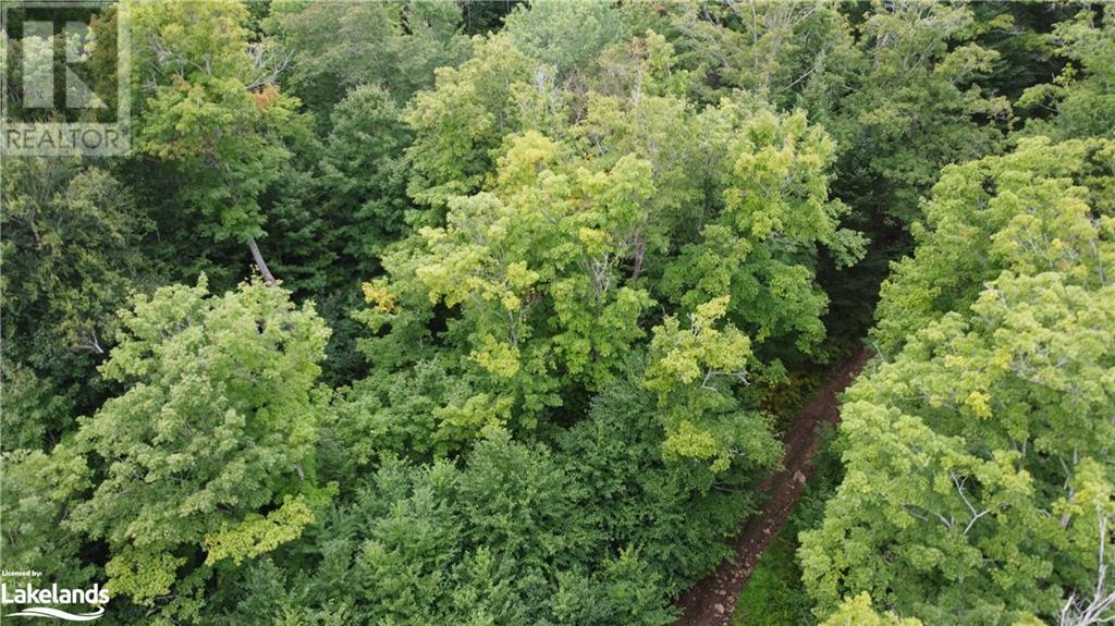 Lot 27 11 Concession, Huntsville, Ontario  P1H 2N5 - Photo 7 - 40580318