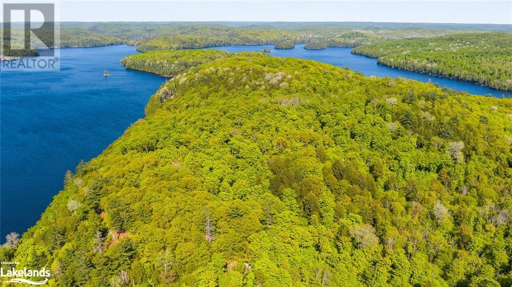 Part Lot 22 Adeline Trail, Haliburton, Ontario  K0M 1S0 - Photo 5 - 40585667