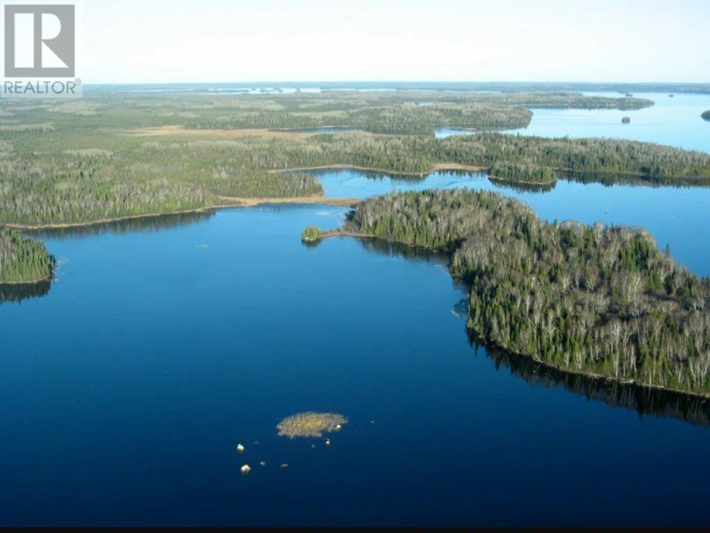 Beaton Island, Lac De Mille Lacs, Ontario  P0T 2Y0 - Photo 3 - TB241193