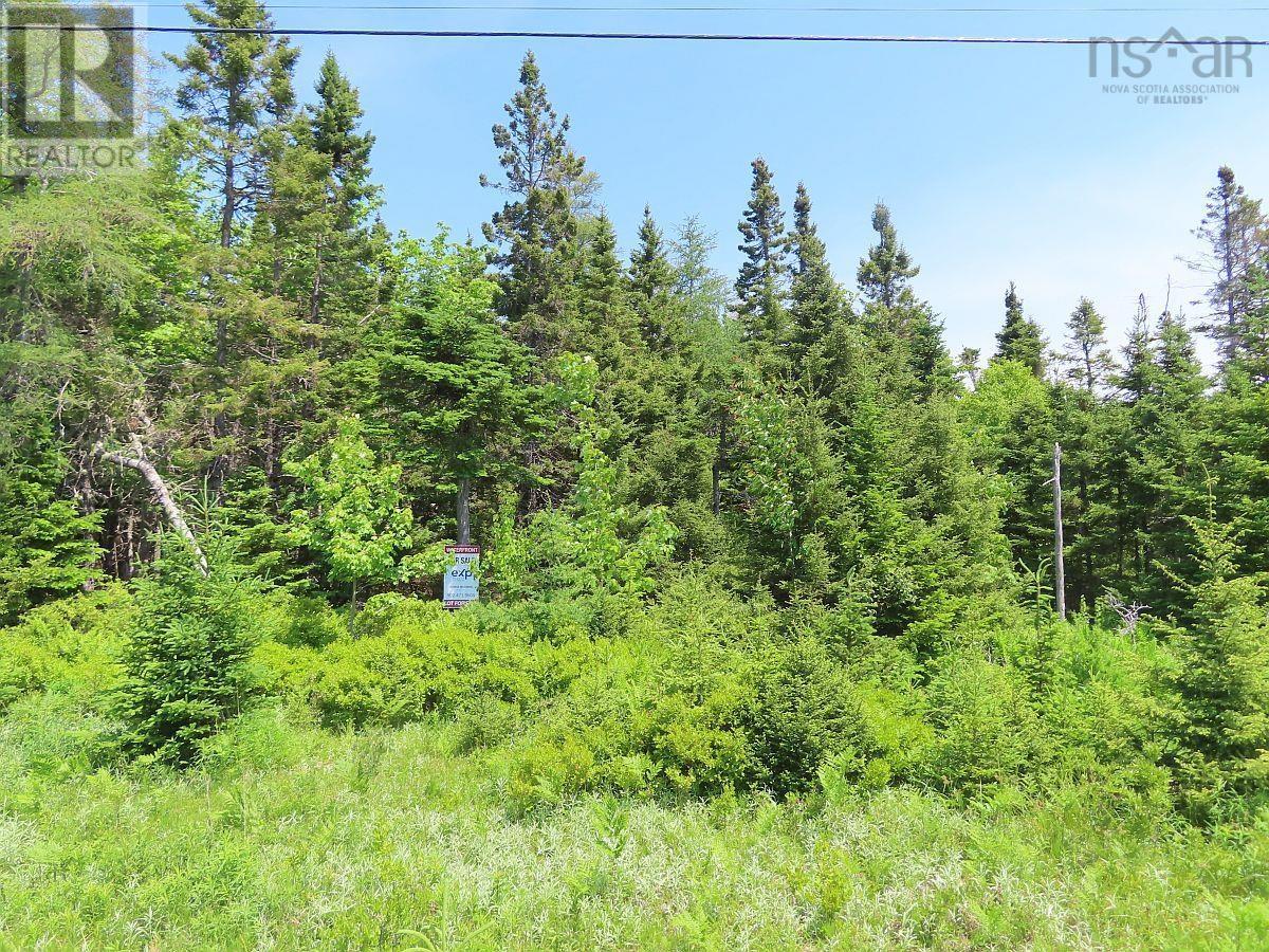 Lot 1a-41 Maple Drive, Cape George, Nova Scotia  B0E 3B0 - Photo 20 - 202409315