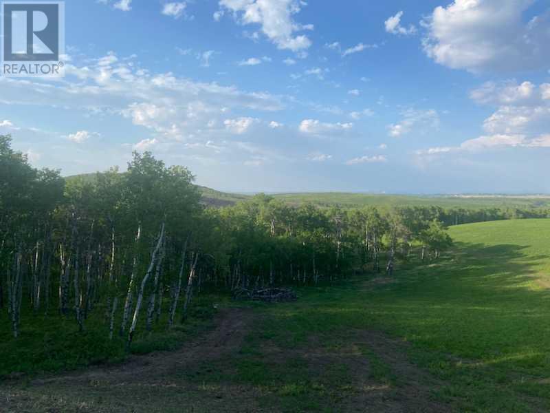64228 306 Avenue W, Rural Foothills County, Alberta  T1S 7A6 - Photo 30 - A2110643