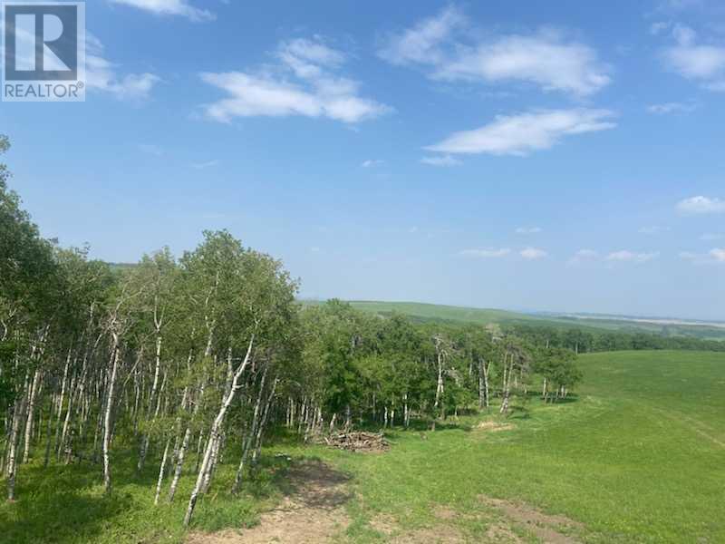 64228 306 Avenue W, Rural Foothills County, Alberta  T1S 7A6 - Photo 31 - A2110643