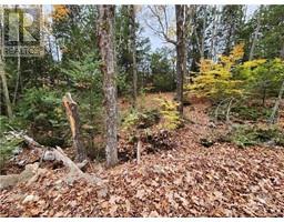 1140 SWAUGERS CREEK LANE