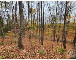 1140 SWAUGERS CREEK LANE