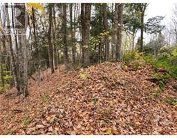 1140 SWAUGERS CREEK LANE