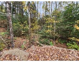 1140 SWAUGERS CREEK LANE