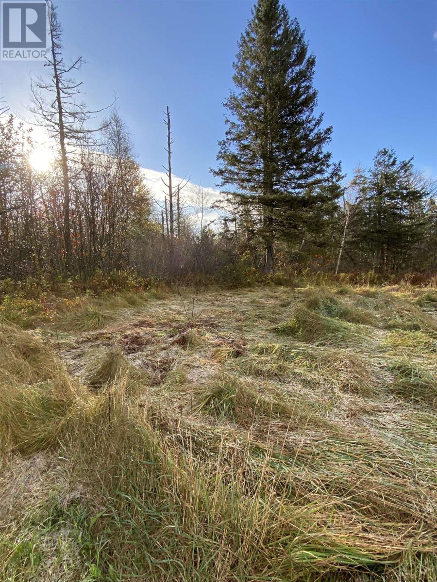 Property at LOT BURNT POINT Road image 4