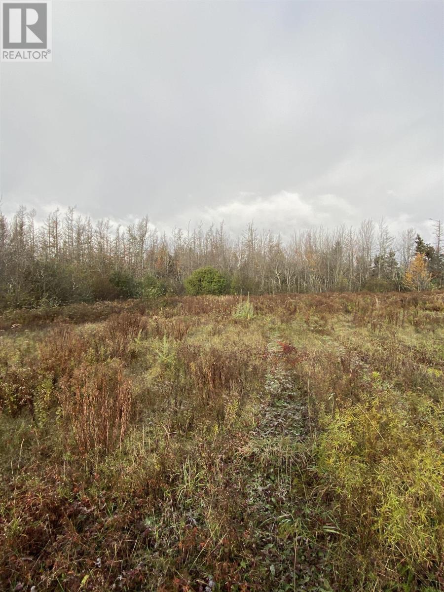 Property at LOT BURNT POINT Road image 4