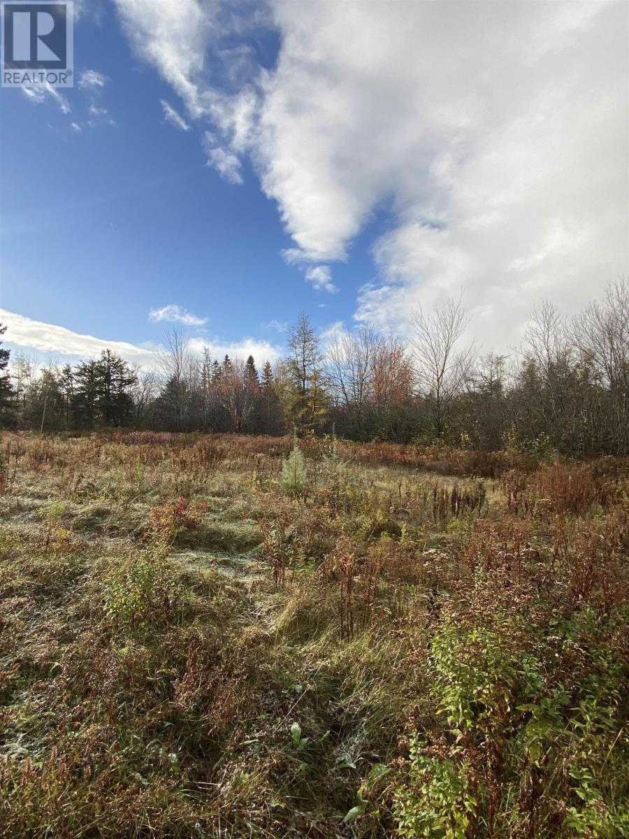 Property at LOT BURNT POINT Road image 5