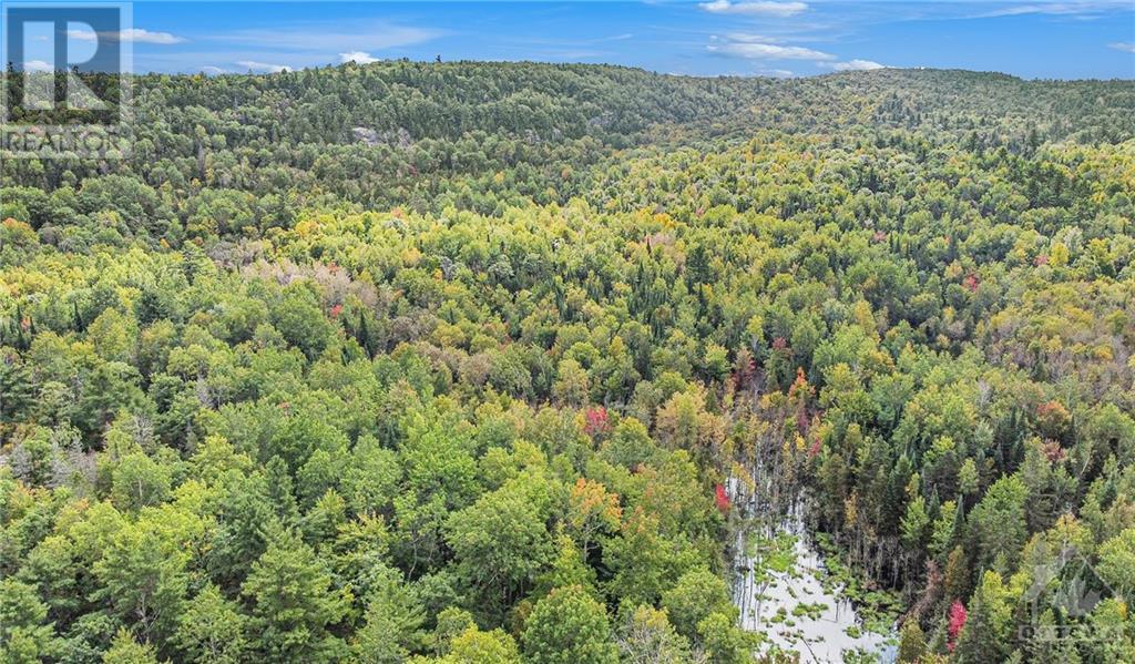 Lot 14&15 Triple Tower Road, Lanark Highlands, Ontario  K0G 1K0 - Photo 27 - 1391347