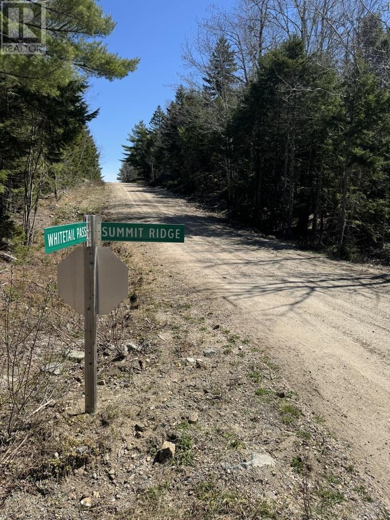 Lot 66 Summit Ridge Road, Windsor, Nova Scotia  B0N 2T0 - Photo 10 - 202410042