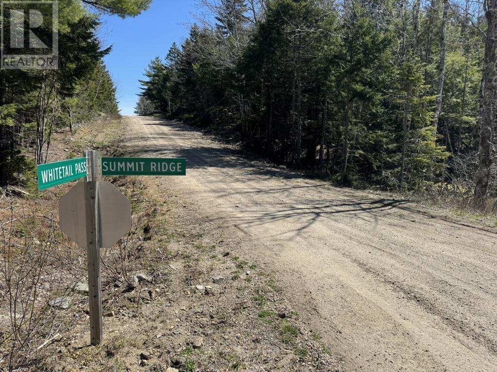 Lot 66 Summit Ridge Road, Windsor, Nova Scotia  B0N 2T0 - Photo 11 - 202410042