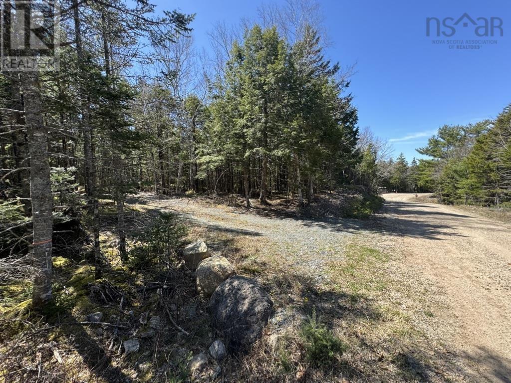 Lot 66 Summit Ridge Road, Windsor, Nova Scotia  B0N 2T0 - Photo 13 - 202410042