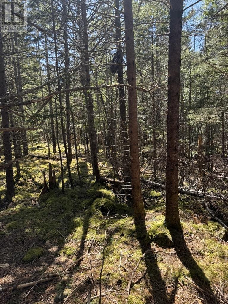 Lot 66 Summit Ridge Road, Windsor, Nova Scotia  B0N 2T0 - Photo 15 - 202410042