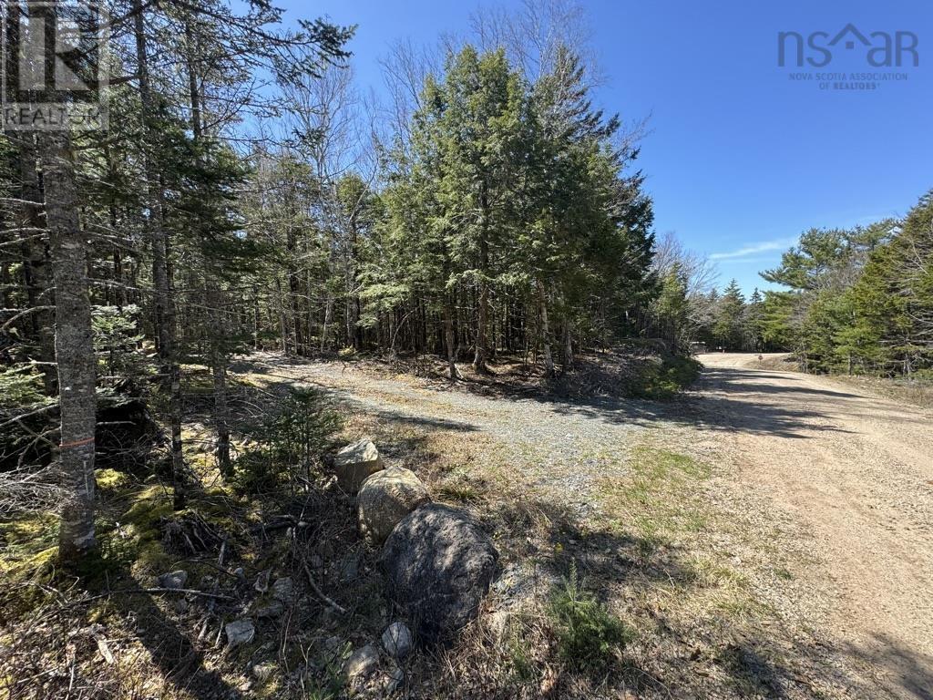 Lot 66 Summit Ridge Road, Windsor, Nova Scotia  B0N 2T0 - Photo 16 - 202410042