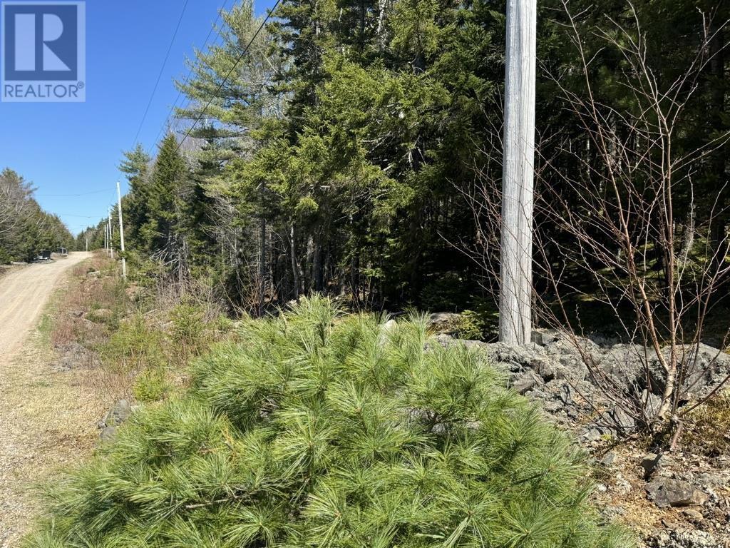 Lot 66 Summit Ridge Road, Windsor, Nova Scotia  B0N 2T0 - Photo 19 - 202410042