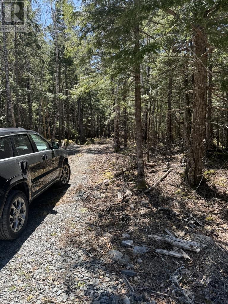 Lot 66 Summit Ridge Road, Windsor, Nova Scotia  B0N 2T0 - Photo 2 - 202410042