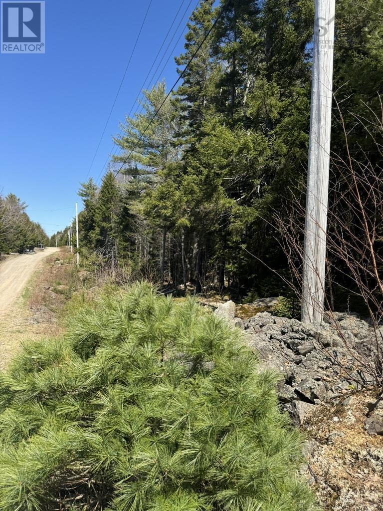 Lot 66 Summit Ridge Road, Windsor, Nova Scotia  B0N 2T0 - Photo 23 - 202410042