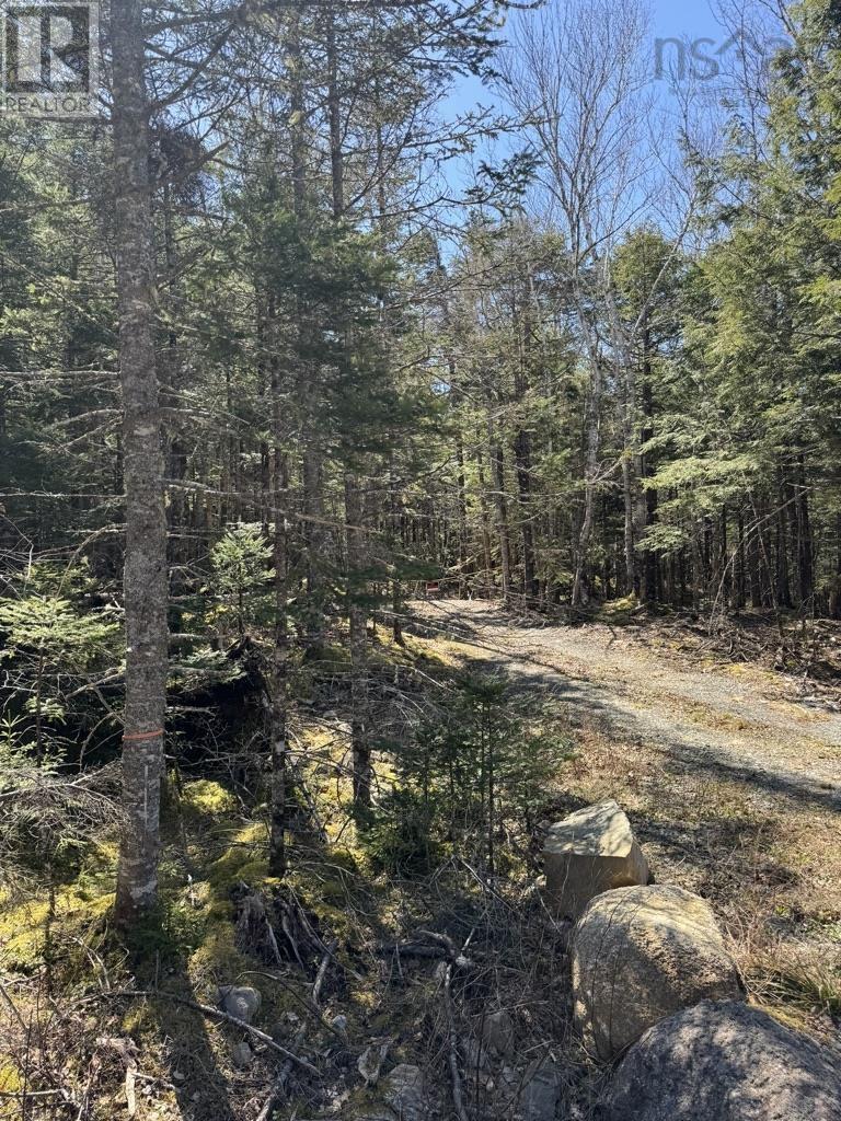 Lot 66 Summit Ridge Road, Windsor, Nova Scotia  B0N 2T0 - Photo 28 - 202410042