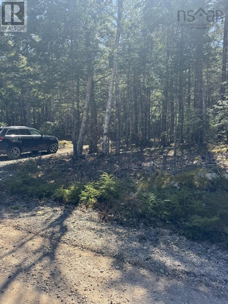 Lot 66 Summit Ridge Road, Windsor, Nova Scotia  B0N 2T0 - Photo 30 - 202410042