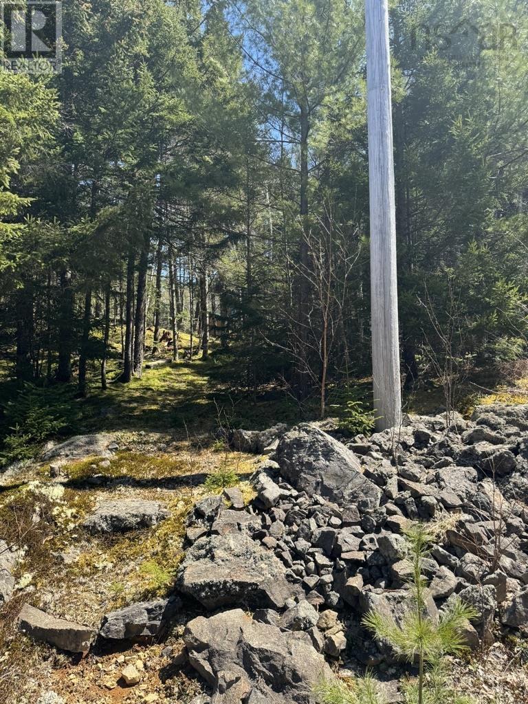 Lot 66 Summit Ridge Road, Windsor, Nova Scotia  B0N 2T0 - Photo 31 - 202410042