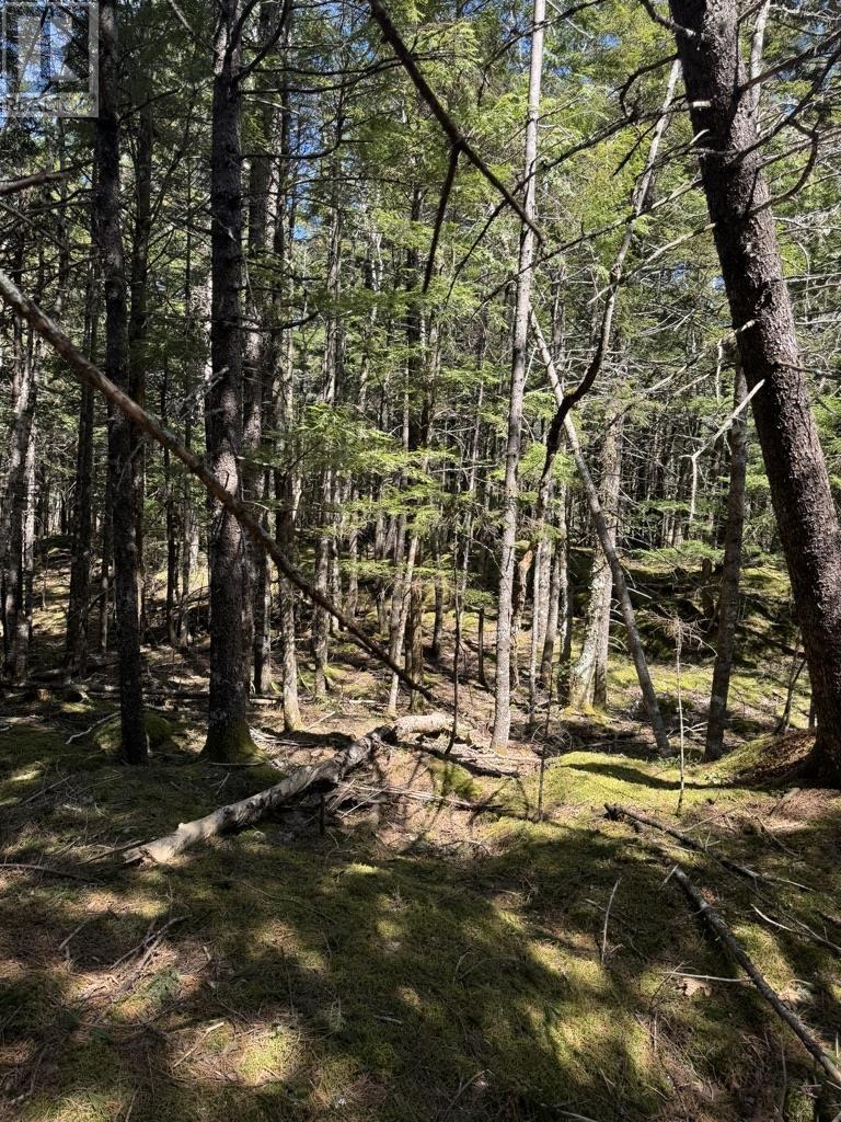 Lot 66 Summit Ridge Road, Windsor, Nova Scotia  B0N 2T0 - Photo 34 - 202410042