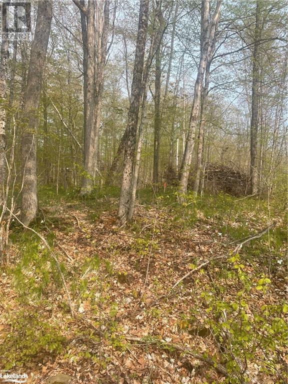 1088 Ashgrove Trail Unit# 44, Arden, Ontario  K0H 1B0 - Photo 31 - 40587202
