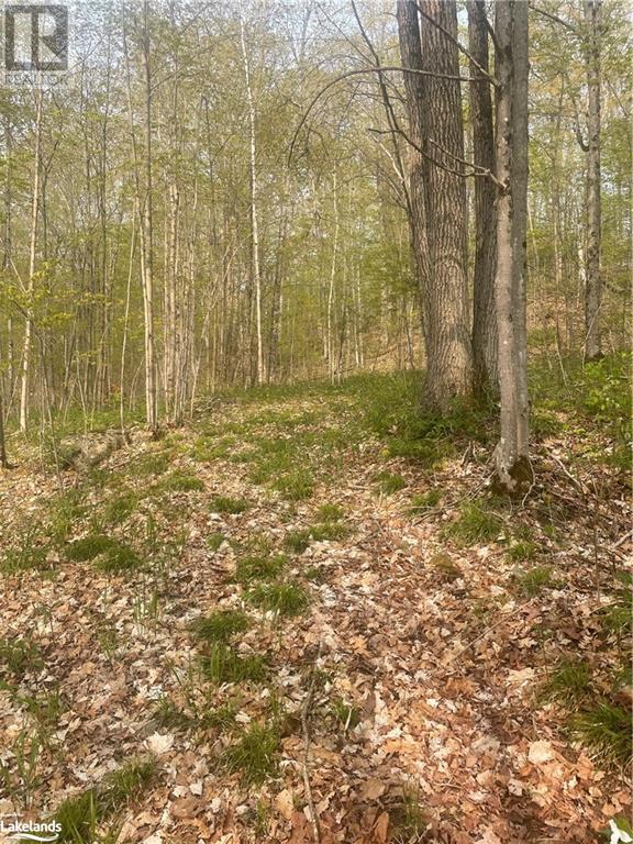 1088 Ashgrove Trail Unit# 44, Arden, Ontario  K0H 1B0 - Photo 32 - 40587202
