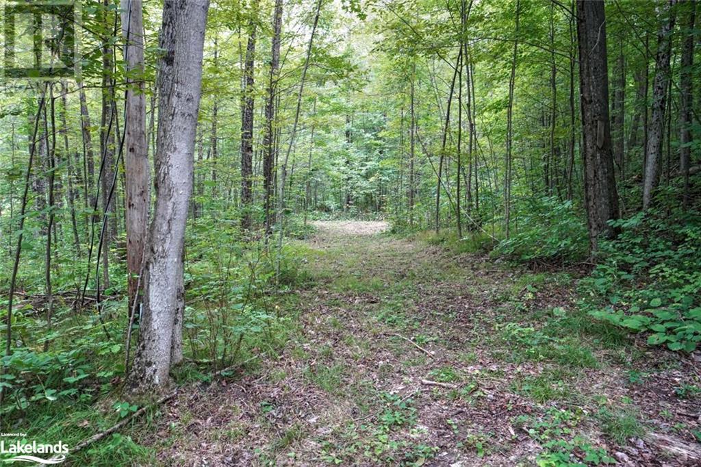 1088 Ashgrove Trail Unit# 44, Arden, Ontario  K0H 1B0 - Photo 6 - 40587202
