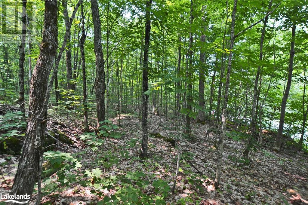 0 Lyndsey Lane Unit# Part 2, Mckellar, Ontario  P2A 0B5 - Photo 8 - 40585811