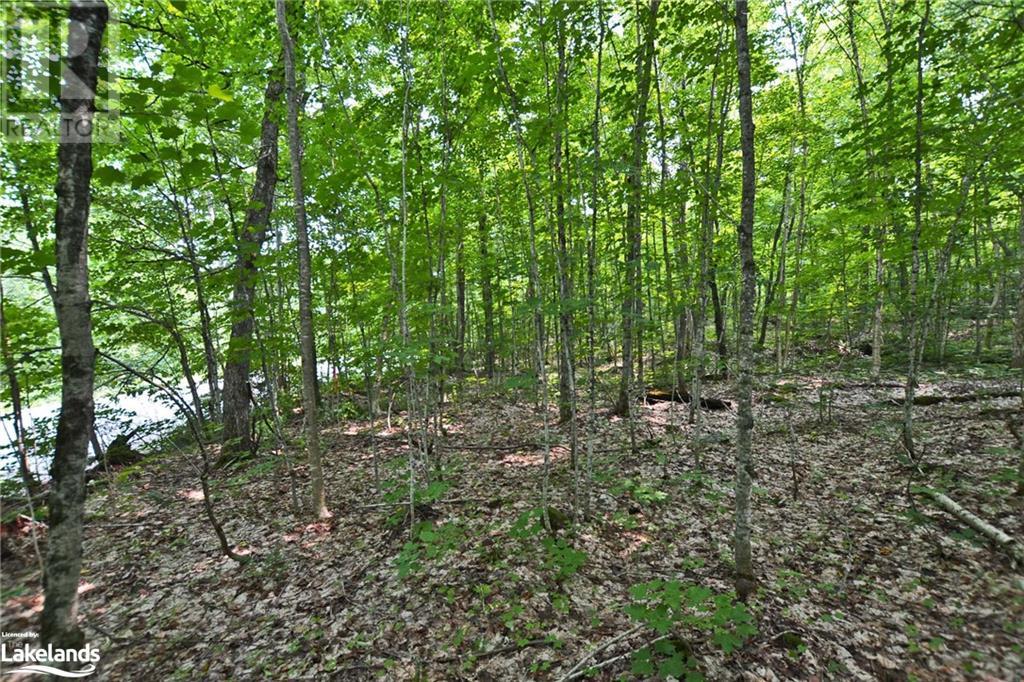 0 Lyndsey Lane Unit# Part 1, Mckellar, Ontario  P2A 0B5 - Photo 10 - 40585810