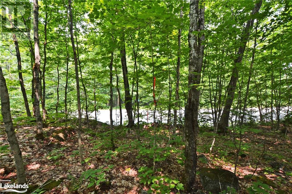 0 Lyndsey Lane Unit# Part 1, Mckellar, Ontario  P2A 0B5 - Photo 13 - 40585810