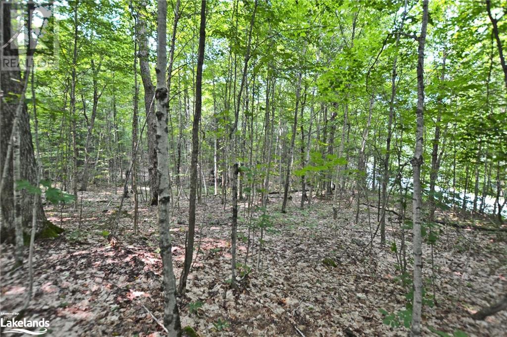 0 Lyndsey Lane Unit# Part 1, Mckellar, Ontario  P2A 0B5 - Photo 15 - 40585810