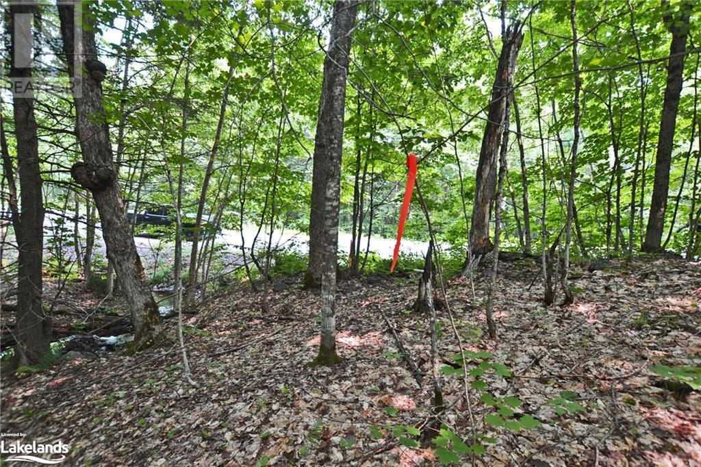 0 Lyndsey Lane Unit# Part 1, Mckellar, Ontario  P2A 0B5 - Photo 16 - 40585810