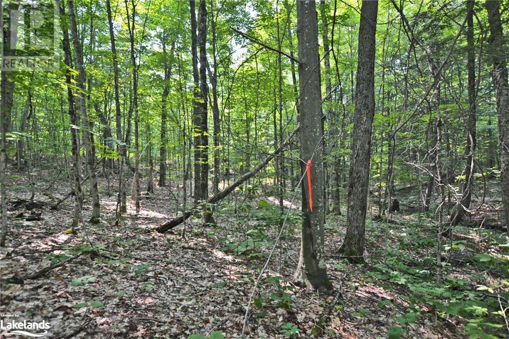 0 Lyndsey Lane Unit# Part 1, Mckellar, Ontario  P2A 0B5 - Photo 17 - 40585810