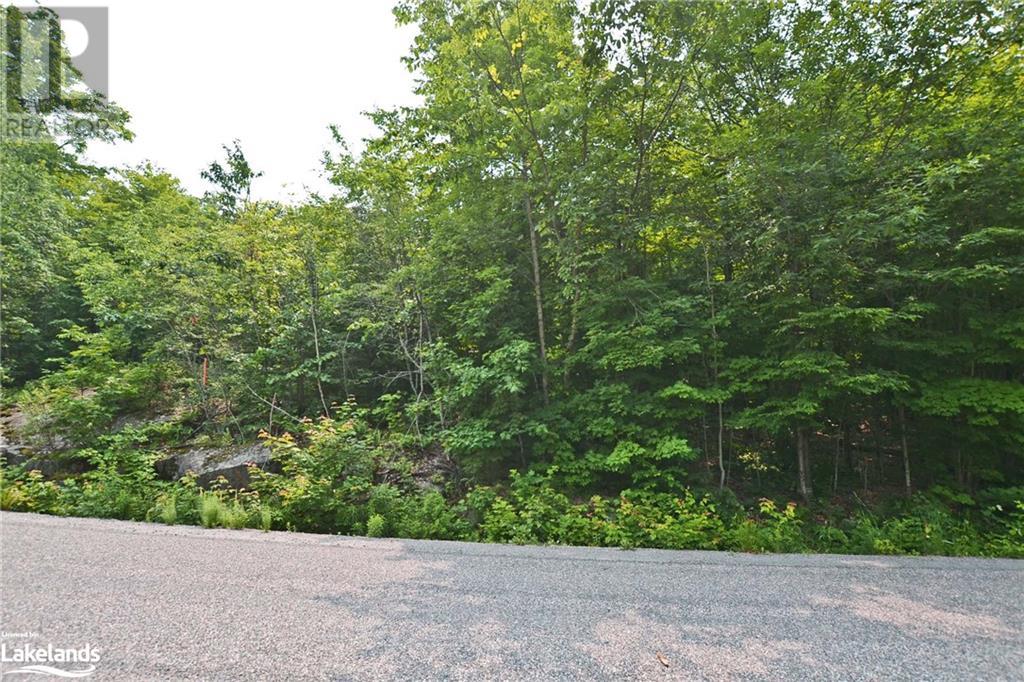 0 Lyndsey Lane Unit# Part 1, Mckellar, Ontario  P2A 0B5 - Photo 7 - 40585810