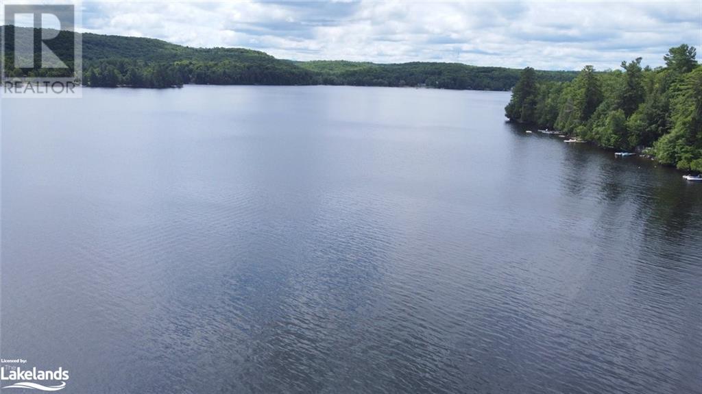 1956 Wigamog Road, Haliburton, Ontario  K0M 1S0 - Photo 20 - 40586992