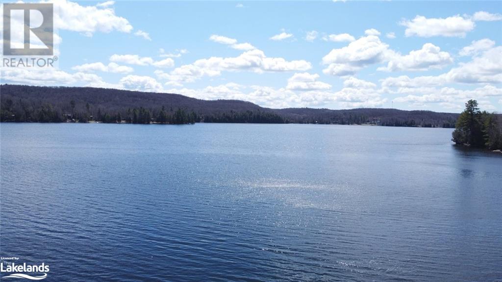 1956 Wigamog Road, Haliburton, Ontario  K0M 1S0 - Photo 31 - 40586992