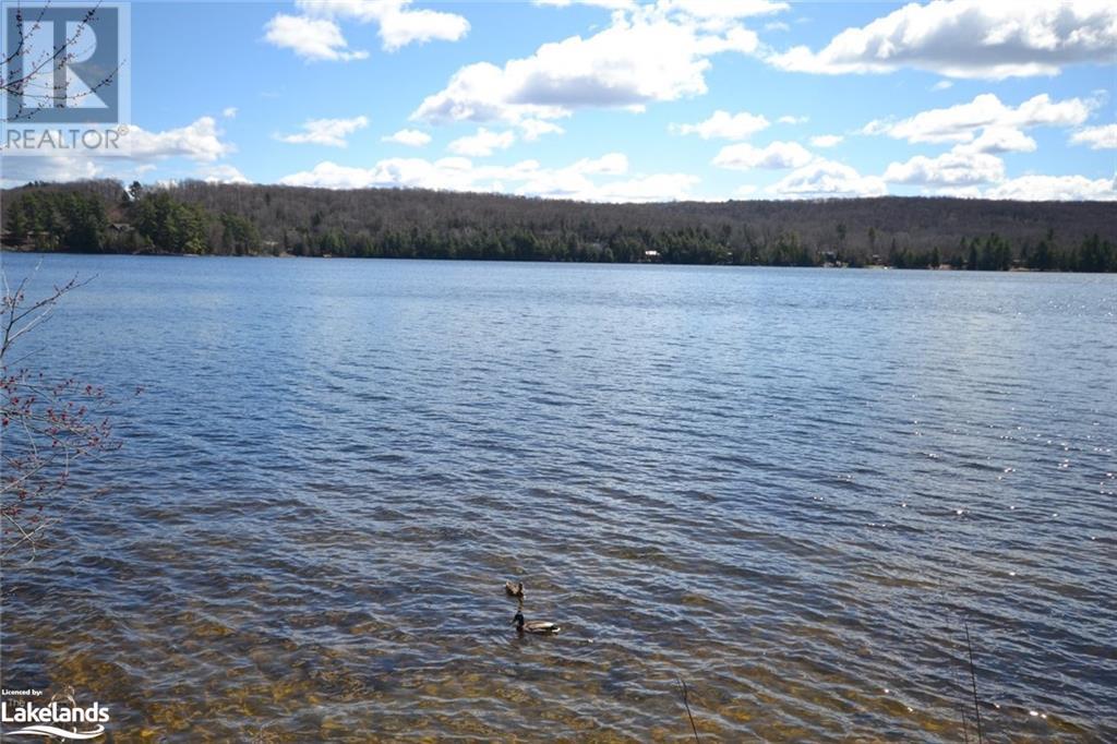 1956 Wigamog Road, Haliburton, Ontario  K0M 1S0 - Photo 36 - 40586992