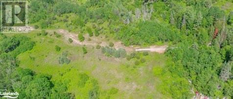 1027 Dancey Road, Minden, Ontario  K0M 2K0 - Photo 3 - 40586991