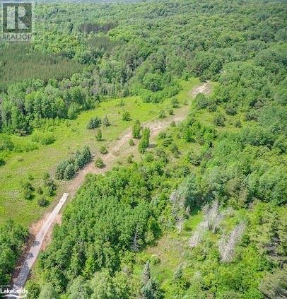 1027 Dancey Road, Minden, Ontario  K0M 2K0 - Photo 5 - 40586991