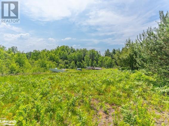 1027 Dancey Road, Minden, Ontario  K0M 2K0 - Photo 7 - 40586991