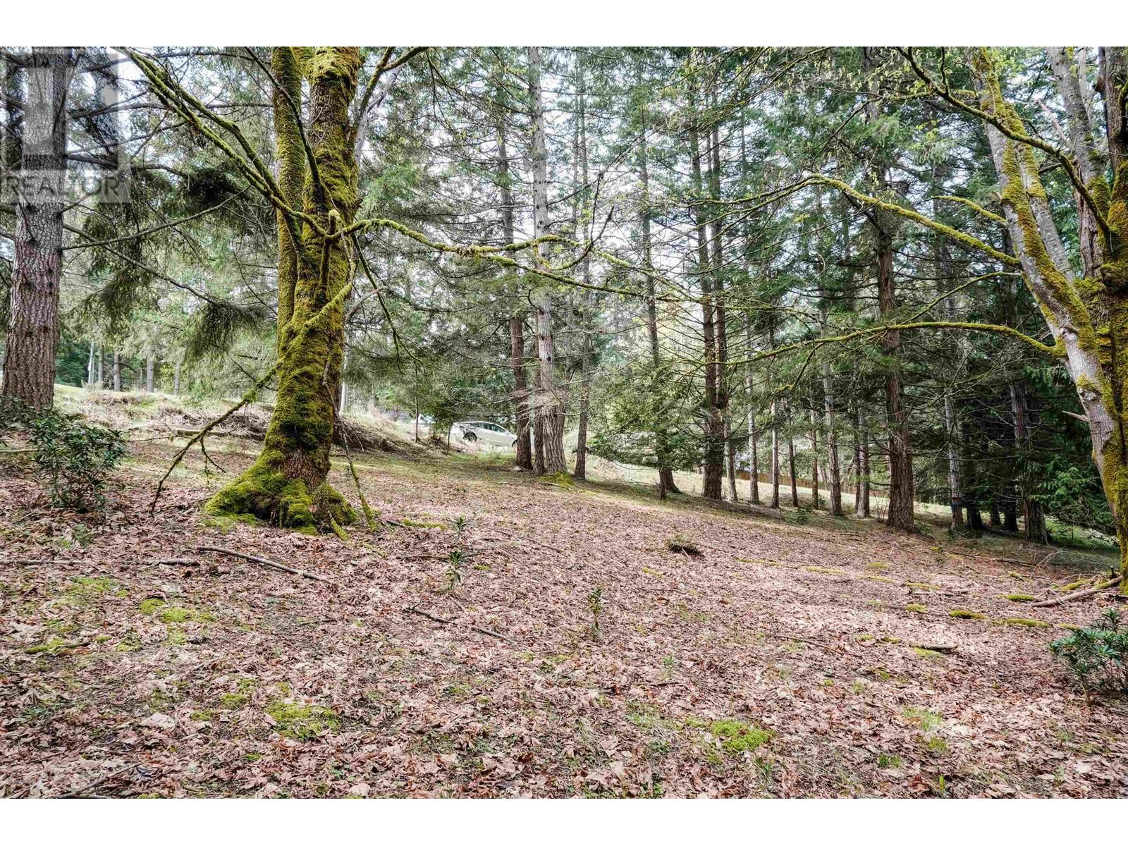 Lorem Ipsum Dolo, Mayne Island, British Columbia  V0N  - Photo 5 - DEMO26877964