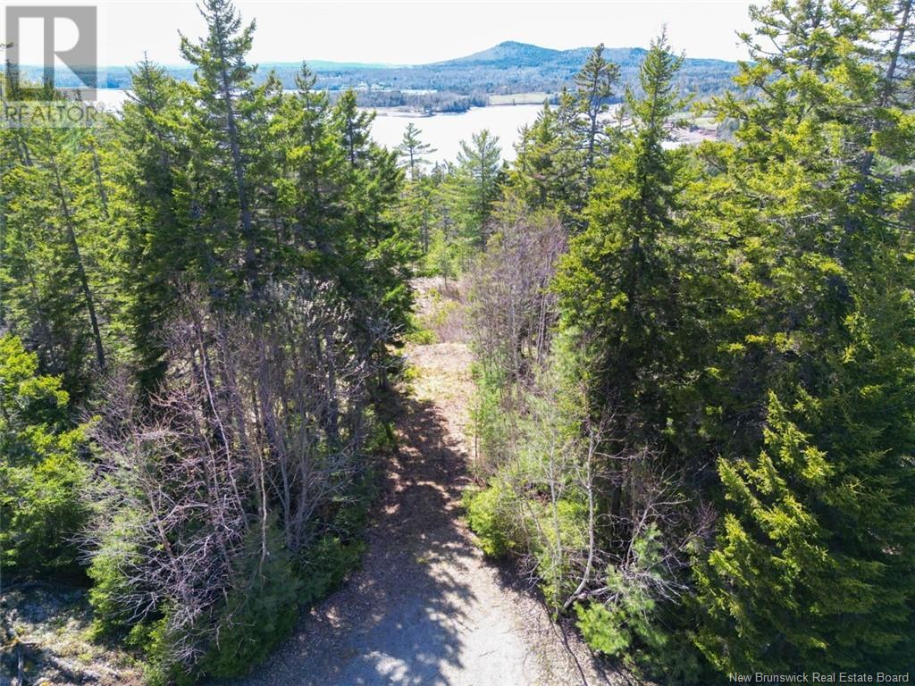 Lot 13 Eagles Passage, Chamcook, New Brunswick  E5B 0A8 - Photo 1 - NB097191