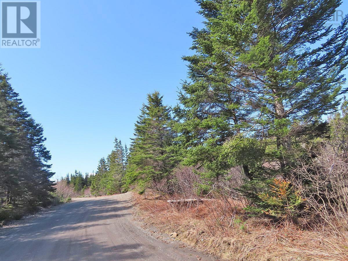 2 Wood Lots Salmon River Road, L'ardoise, Nova Scotia  B0E 3B0 - Photo 6 - 202409960