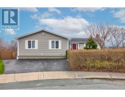 10 Fredericton Place, St. John'S, Ca
