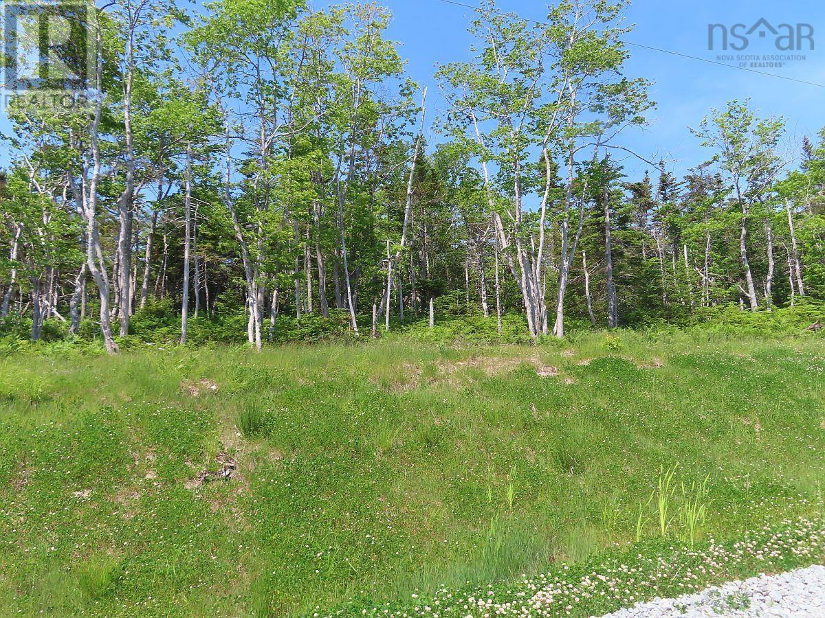 Lot 20 Perry Lane, Lennox Passage, Nova Scotia  B0E 1K0 - Photo 7 - 202410184